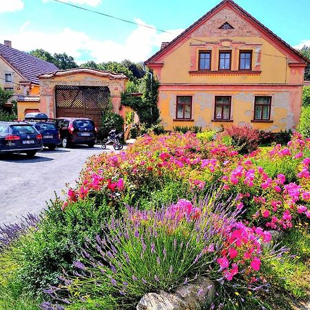 Apartmany Kosov 2 Bor Eksteriør billede
